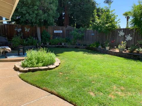 7000 Lincoln Ave, Carmichael, CA 95608 photo 38