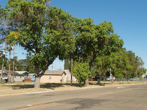 416 E St, Modesto, CA 95354 photo 35