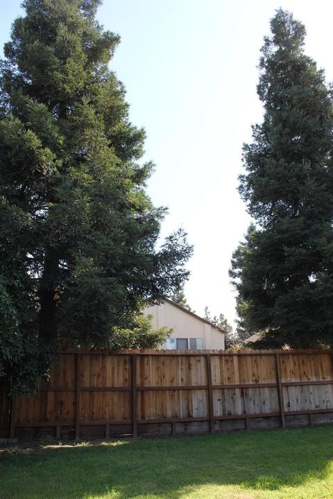1216 W Union Ave, Modesto, CA 95356 photo 16