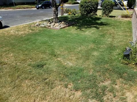 2100 Shushan Dr, Ceres, CA 95307 photo 2