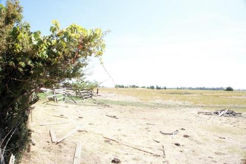 8500 Palladay Rd, Elverta, CA 95626 photo 21