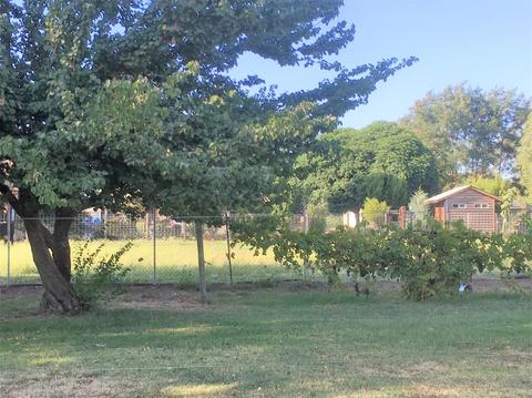 4136 Moore Rd, Ceres, CA 95307 photo 5