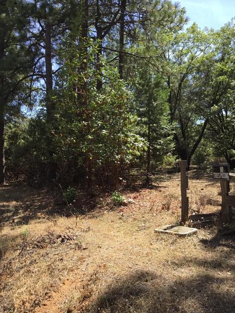 14521 Lupe Rd, Pine Grove, CA 95665 photo 3