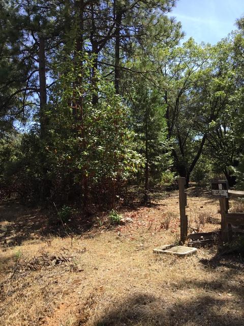 14521 Lupe Rd, Pine Grove, CA 95665 photo 2