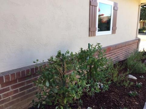 2219 Jackson St, Lodi, CA 95242 photo 41