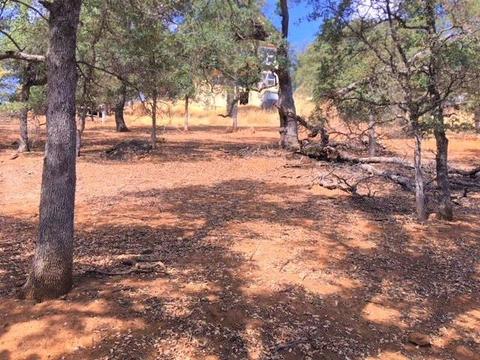 4692 King Ln, Copperopolis, CA 95228 photo 9