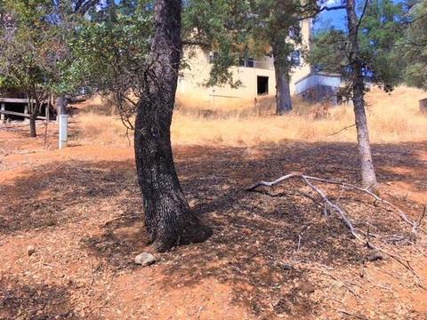 4692 King Ln, Copperopolis, CA 95228 photo 10