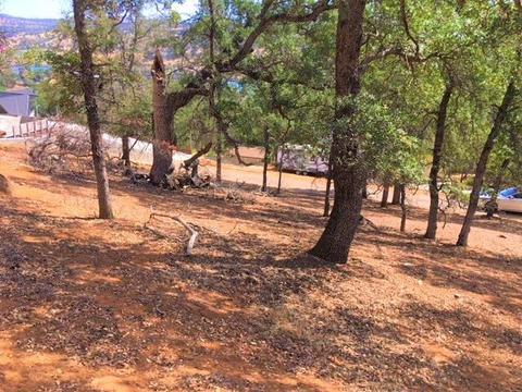 4692 King Ln, Copperopolis, CA 95228 photo 20