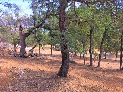 4692 King Ln, Copperopolis, CA 95228 photo 18