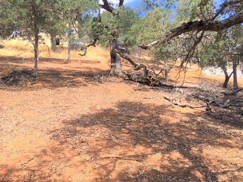 4692 King Ln, Copperopolis, CA 95228 photo 7