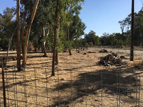 13585 Bennett Rd, Herald, CA 95638 photo 19