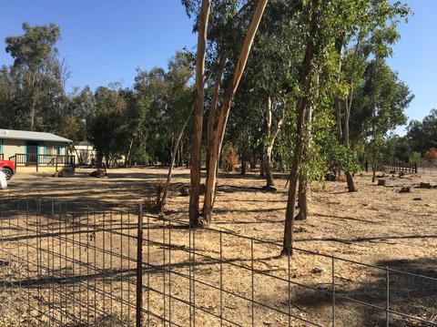 13585 Bennett Rd, Herald, CA 95638 photo 9