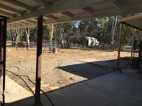 13585 Bennett Rd, Herald, CA 95638 photo 21