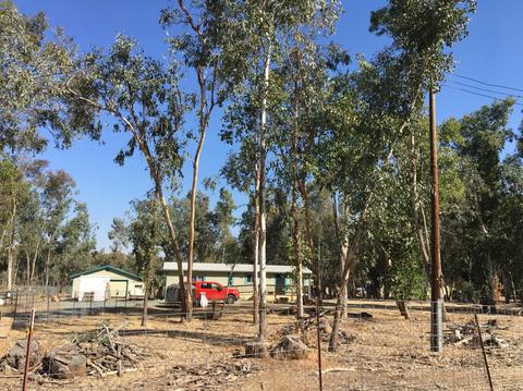 13585 Bennett Rd, Herald, CA 95638 photo 13