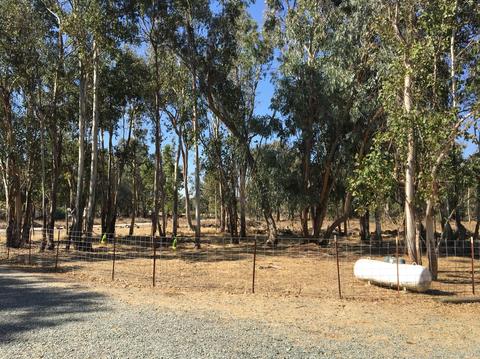 13585 Bennett Rd, Herald, CA 95638 photo 16