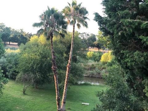 1501 River Rd, Modesto, CA 95351 photo 1