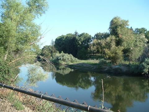 1501 River Rd, Modesto, CA 95351 photo 26