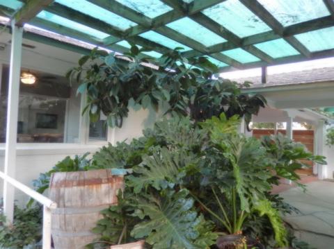 1501 River Rd, Modesto, CA 95351 photo 23