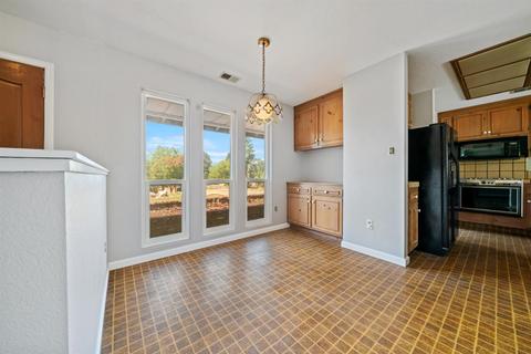 9167 Tavernor Rd, Wilton, CA 95693 photo 10
