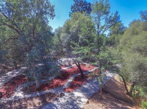 1601 Coyote Dr, Murphys, CA 95247 photo 44