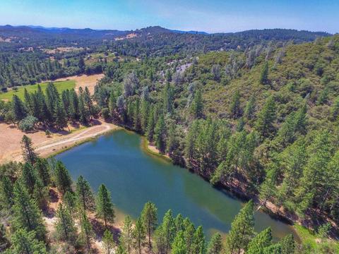1601 Coyote Dr, Murphys, CA 95247 photo 47
