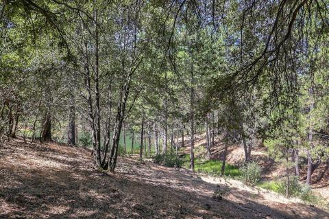 1601 Coyote Dr, Murphys, CA 95247 photo 36