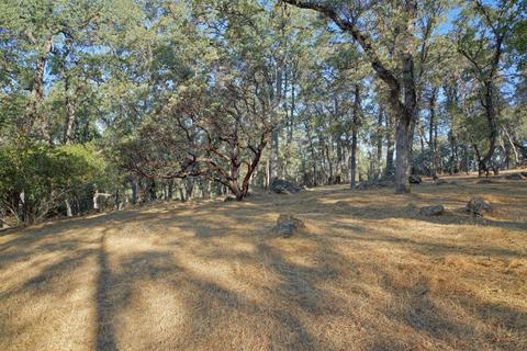 9178 Riverwood Dr, Placerville, CA 95667 photo 40