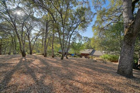 9178 Riverwood Dr, Placerville, CA 95667 photo 42
