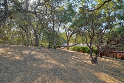 9178 Riverwood Dr, Placerville, CA 95667 photo 41