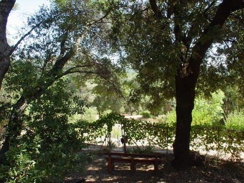 2061 Oak Leaf Ct, Placerville, CA 95667 photo 43