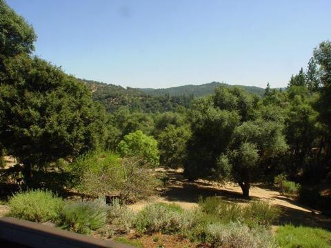 2061 Oak Leaf Ct, Placerville, CA 95667 photo 15
