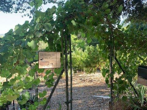 2061 Oak Leaf Ct, Placerville, CA 95667 photo 44