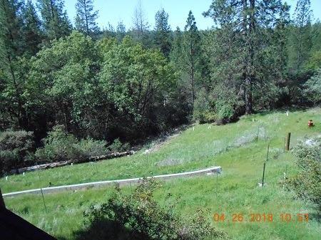 20890 Warner Rd, Pine Grove, CA 95665 photo 19