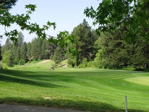 17306 Brewer Rd, Grass Valley, CA 95949 photo 43