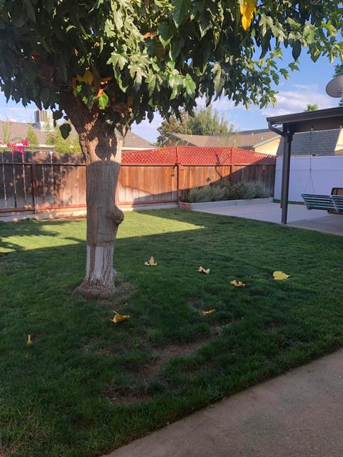 1908 Jupiter Ct, Ceres, CA 95307 photo 19