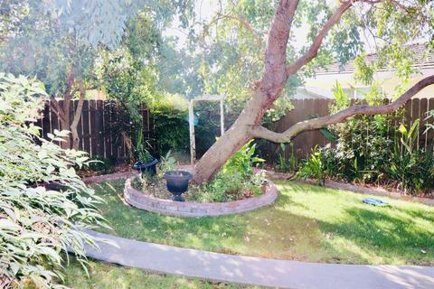 1712 W Vine, Lodi, CA 95242 photo 14