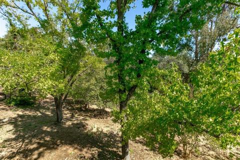 2325 Pinon Rd, Rescue, CA 95672 photo 31