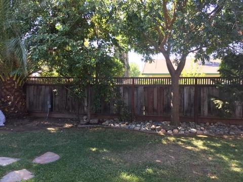886 Wentworth Ave, Manteca, CA 95336 photo 5