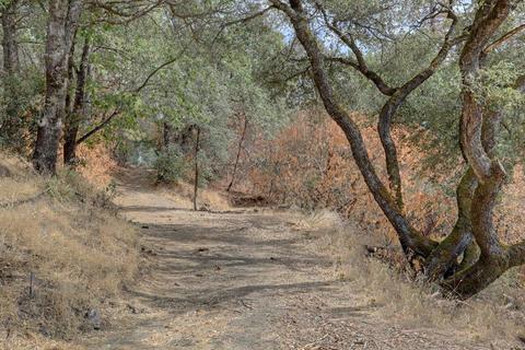 192 E View Dr, Applegate, CA 95703 photo 25