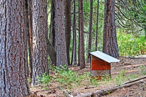 23700 Stagecoach, Volcano, CA 95689 photo 32
