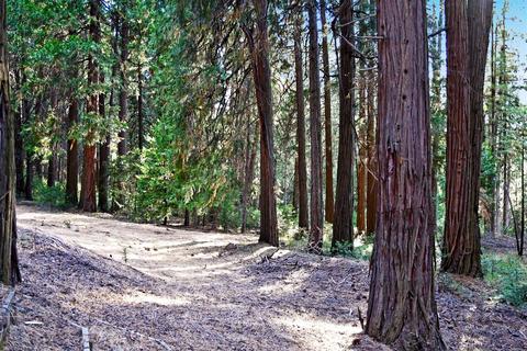 23700 Stagecoach, Volcano, CA 95689 photo 36