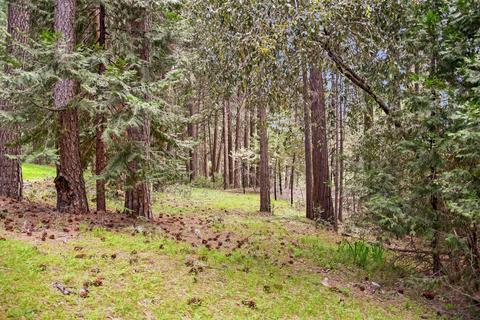 23700 Stagecoach, Volcano, CA 95689 photo 8