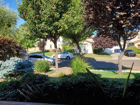 226 Sorrel Ct, Patterson, CA 95363 photo 4