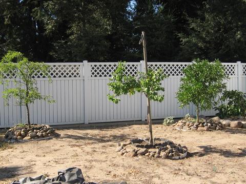 22197 Henry Rd, Escalon, CA 95320 photo 6