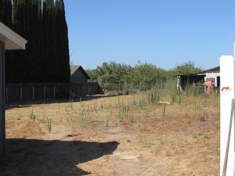 22197 Henry Rd, Escalon, CA 95320 photo 37