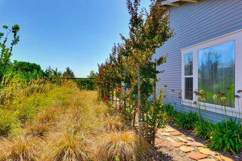 38243 Patwin Ter, Davis, CA 95616 photo 66