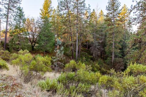 1920 Grouse Ridge Trl, Cool, CA 95614 photo 22