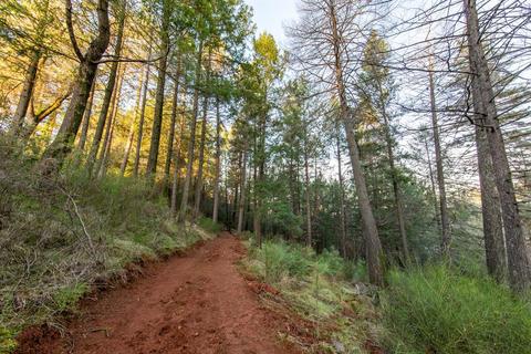 1920 Grouse Ridge Trl, Cool, CA 95614 photo 23