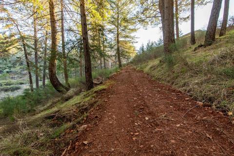 1920 Grouse Ridge Trl, Cool, CA 95614 photo 28