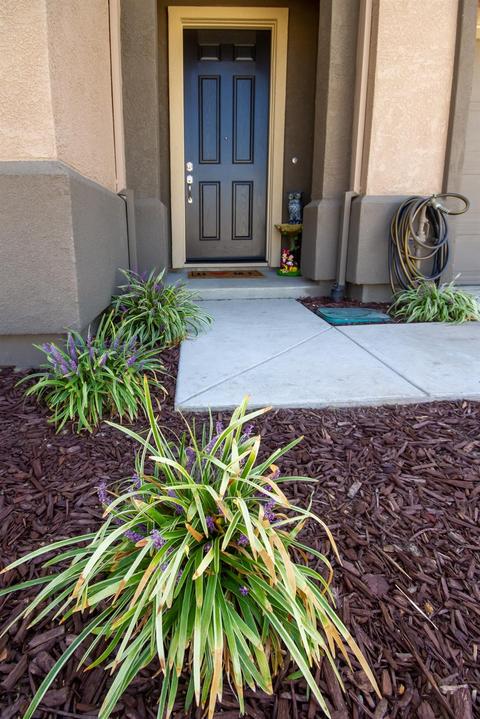9694 Cabernet Ct, Patterson, CA 95363 photo 4
